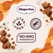 Haagen Dazs Dulce de Leche Ice Cream, Kosher, 14 oz