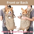 thumbnail image 6 of Newborn Brand Dog Front Carrier Backpack for Small Dogs,Breathable Hands-Free Legs Out Pet Travel Bag for Outdoor Camping, 32X28X15.7 inch ,Black,l, 6 of 9