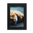 thumbnail image 1 of Animal Pure Blue Eye Cat Photograph Desktop Photo Frame Picture Display Art Painting Exhibit, 1 of 3