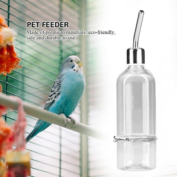 Dog clearance bird feeder