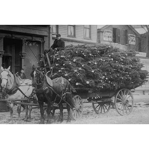 Load of Christmas Trees on Wagon-Fine art canvas print (20" x 30")