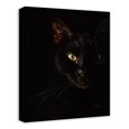 thumbnail image 2 of Creative Products Creepy Cat 16x20 Canvas Wall Art, 2 of 5