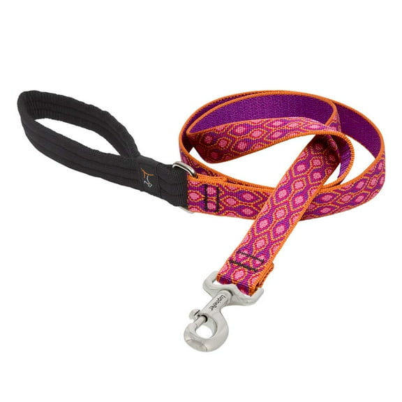 1in Alpen Glow 4ft Dog Leash