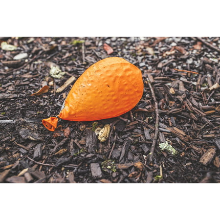 Canvas Print Ground Deflated Balloon Sticks Orange Stretched Canvas 10 x (Best Way To Stick Balloons On Wall)