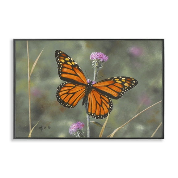 Stupell Industries Summer Visitor Butterfly Animals Photography Black Framed Art Print Wall Art, 18 x 12
