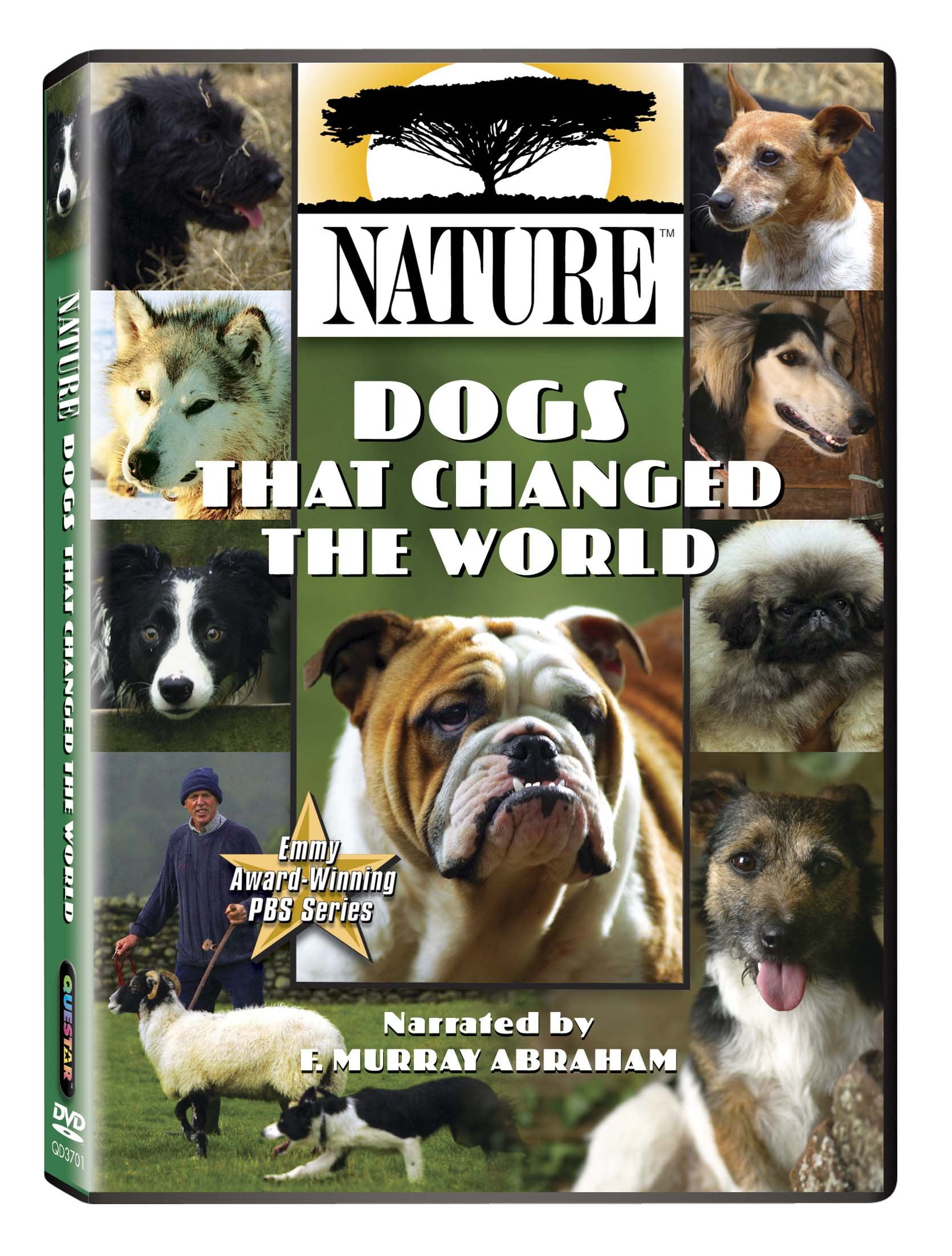 Nature: Animals Gone Wilder! DVD NEW - Walmart.com