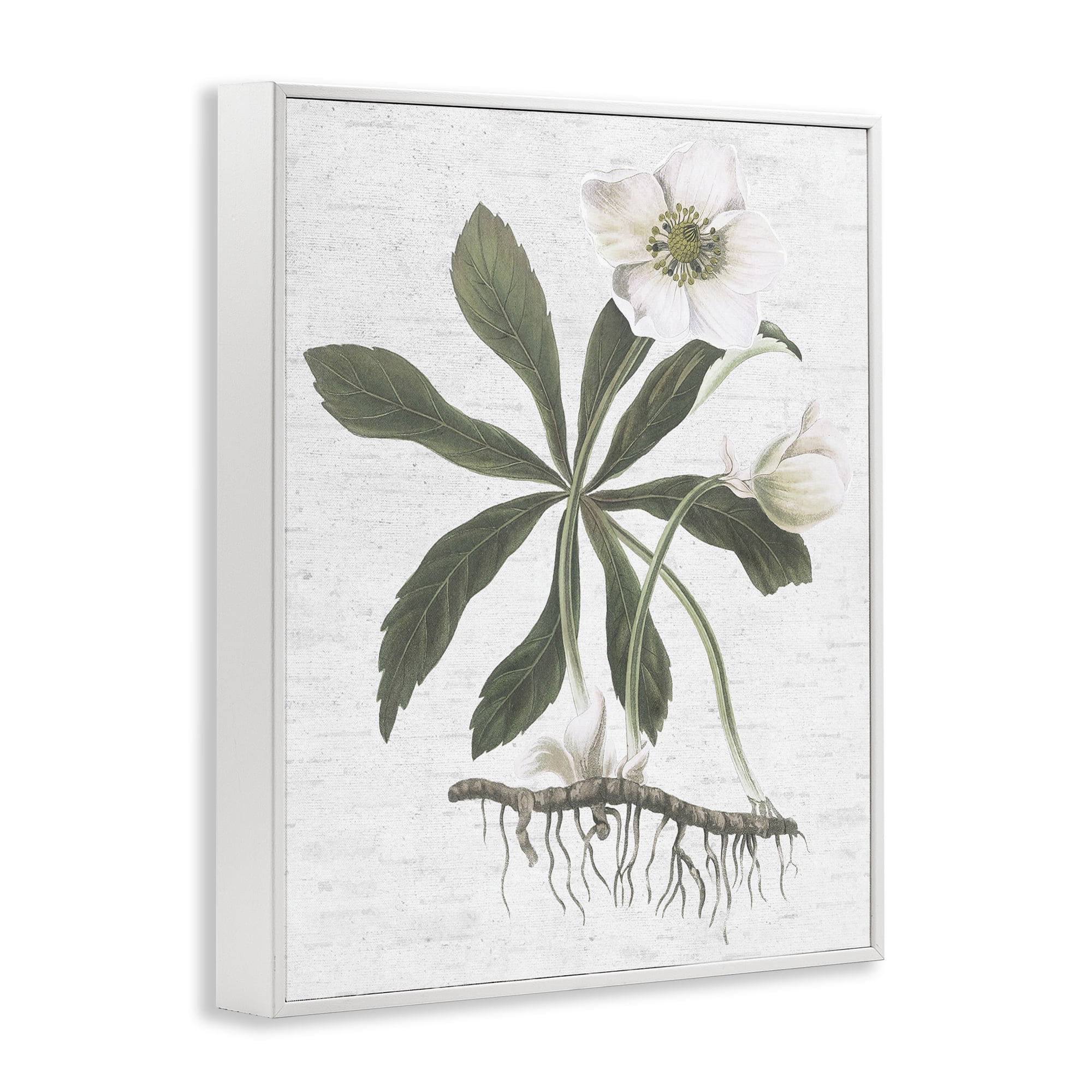 Stupell Industries Magnolia Flower Study Botanical & Floral Painting White Framed Art Print Wall Art, 11 x 14
