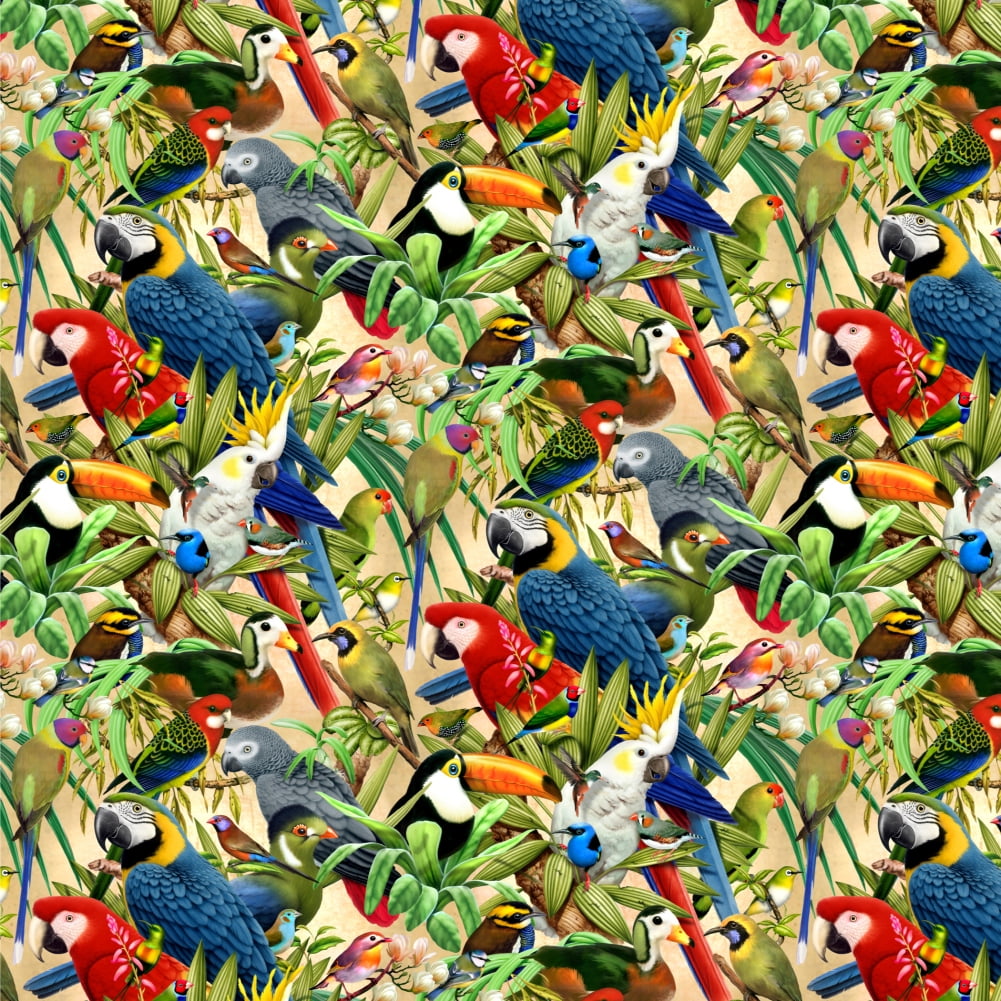 Tropical Birds Parrot Macaw Toucan Pattern Premium Roll Gift Wrap