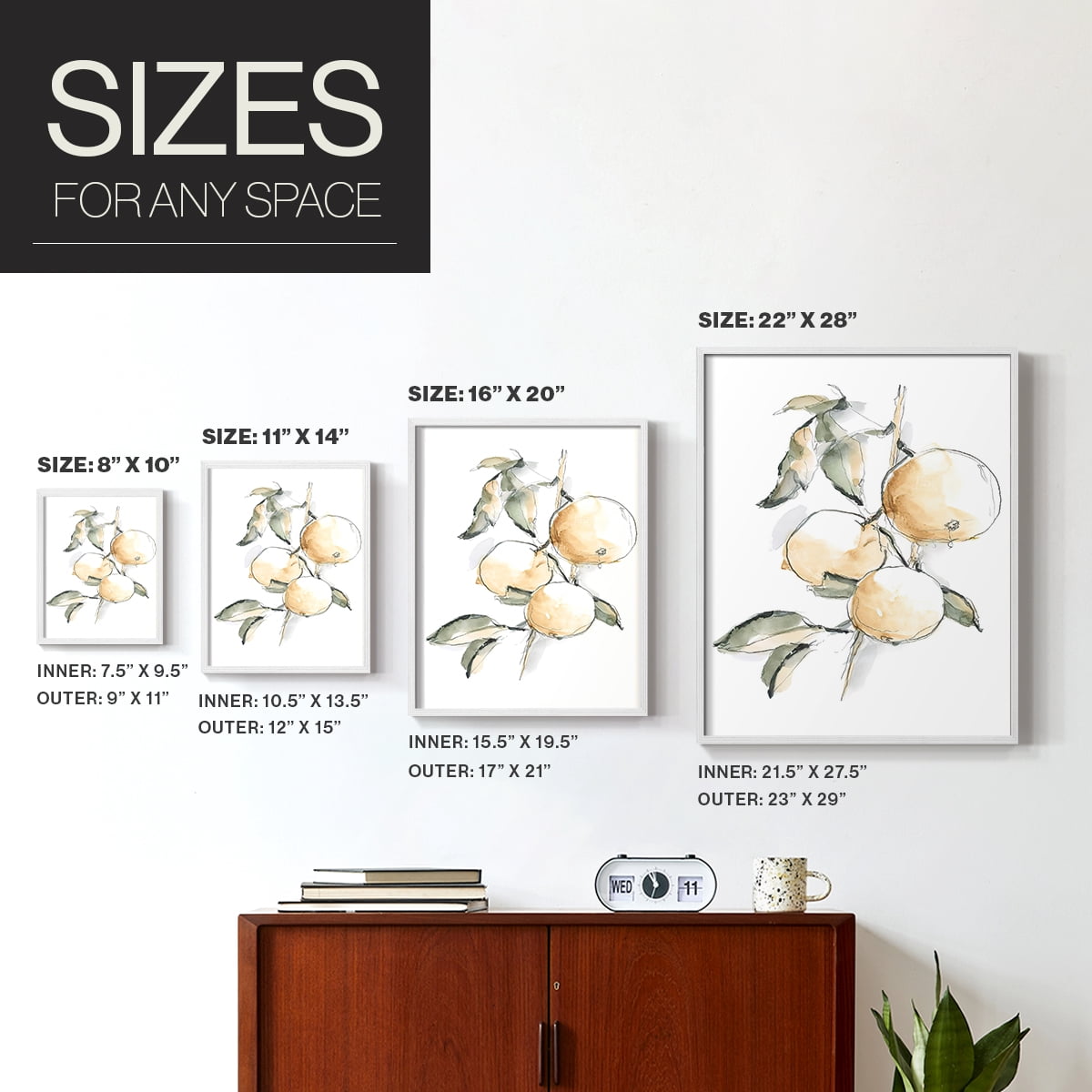 Watercolor Fruit Contour II Framed Print in White Solid Wood 11 x 14 Framed Print