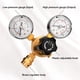 thumbnail image 2 of Regulador de Gas para Soldadura de Argón y CO2 con Manguera de 6,6 Pies, Conexión de Entrada CGA580, Presión de Entrada de 0-4500 PSI/0-10 BAR, 2 of 7