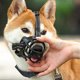 thumbnail image 3 of Dog Muzzle Reflective Adjustable Prevent Biting Hollow Dog Mouth Guard for Walking Grooming Home, 3 of 4