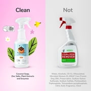 kin+kind Pet Urine Cleaner for Dogs & Cats, Multisurface Cleaner, Stain & Odor Remover, Pet Urine Remover, Stops Re-Marking, Citrus, 32 fl oz