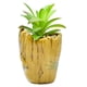 thumbnail image 4 of Maceta Decorativa Cerámica con Planta Artificial, Diseño Groot en 3D, Maceta Decorativa para Hogar, Escuela u Oficina, 4 of 4