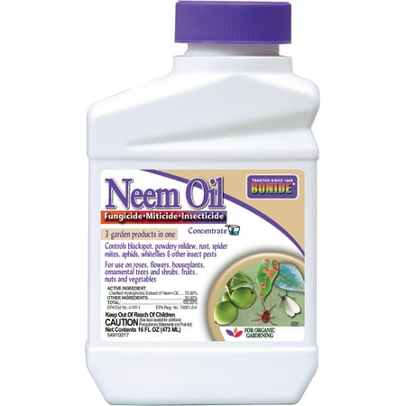 Bonide 16oz. Neem Oil Fungicide, Miticide, & Insecticide (Best Insecticide For Earwigs)