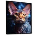 thumbnail image 2 of Designart "Dreamy Devon Rex Cat" Animals Cat Floater Framed Wall Art Living Room, 2 of 5