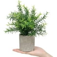 thumbnail image 2 of Mini Potted Plants Artificial Eucalyptus Boxwood Rosemary Greenery in Pots Faux Potted Herbs Small House Plants 8.3"-9" Tall for Indoor Greenery Tabletop Décor Centerpiece (Green), 2 of 5