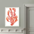 thumbnail image 4 of Wexford Home Coral Kelp II-Framed - White - 22X30, 4 of 4