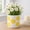 Yellow, variant on Decorative Flower Pots with Daisy Pattern for Home Decor - Indoor and Outdoor Plant Pot for Living Room, Garden, or Patio Decor - Planter for Office, Kitchen, or Side Table - 6", Black & White