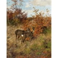 thumbnail image 3 of Josef Schmitzberger 12x14 Black Modern Framed Museum Art Print Titled - Roe Deer with Autumn Leaves, 3 of 5