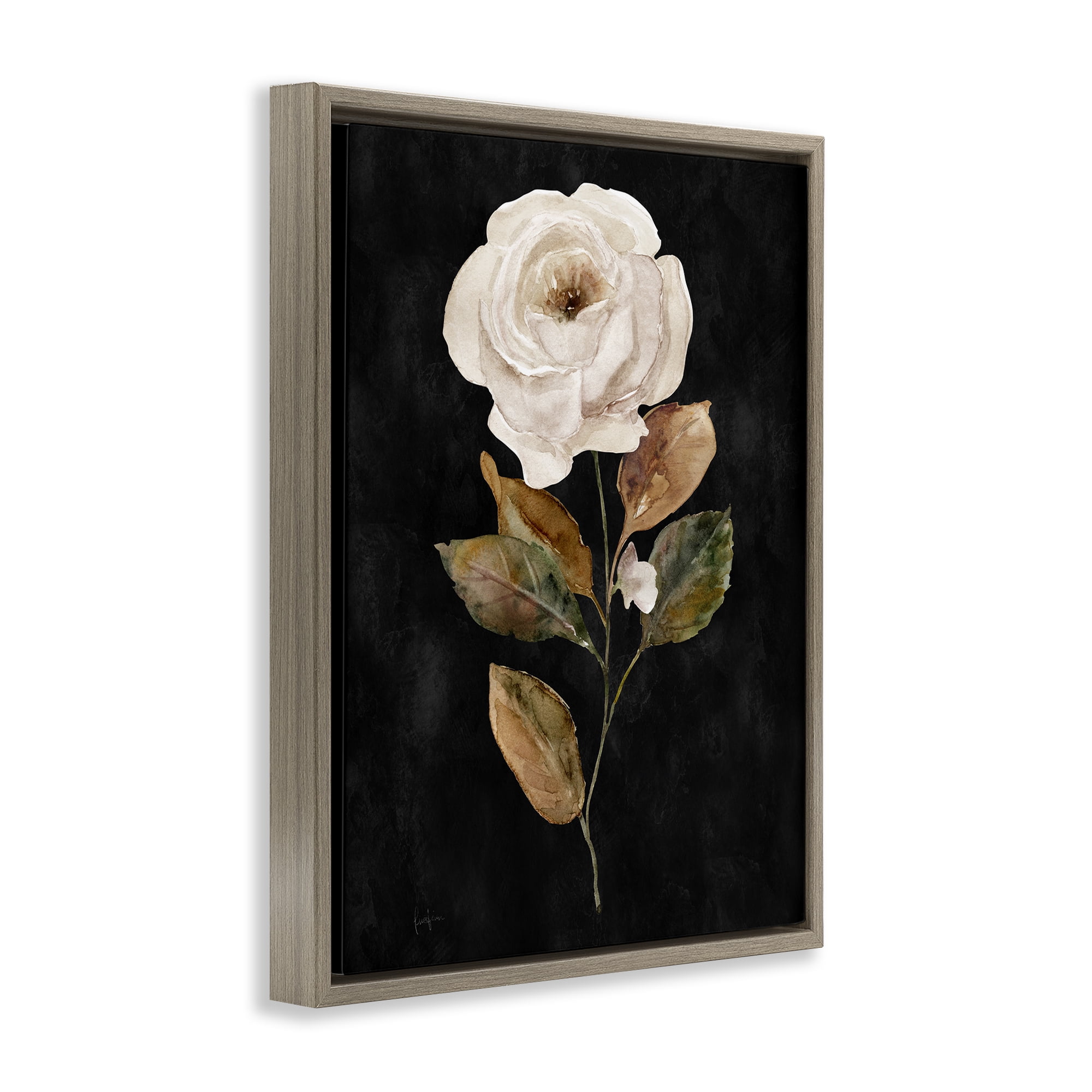 Stupell Industries White Rose on Black Plants & Flowers Painting Brown Floater Framed Canvas Art Print Wall Art, 17 x 21