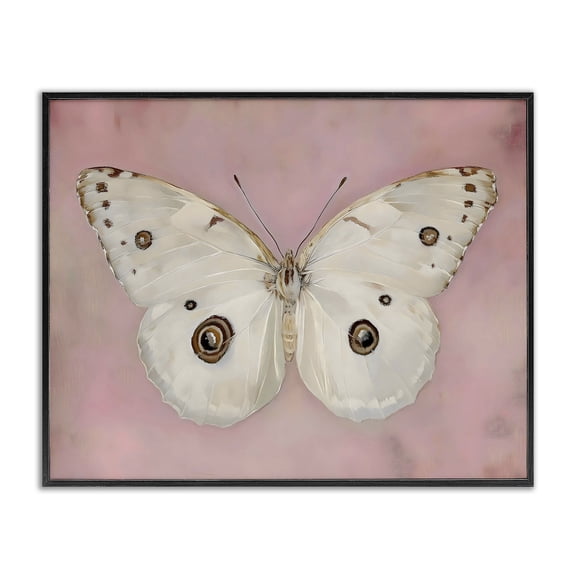 Stupell Industries Gossamer Butterfly on Blush Background Black Framed Giclee Art, design by Arlington Prints