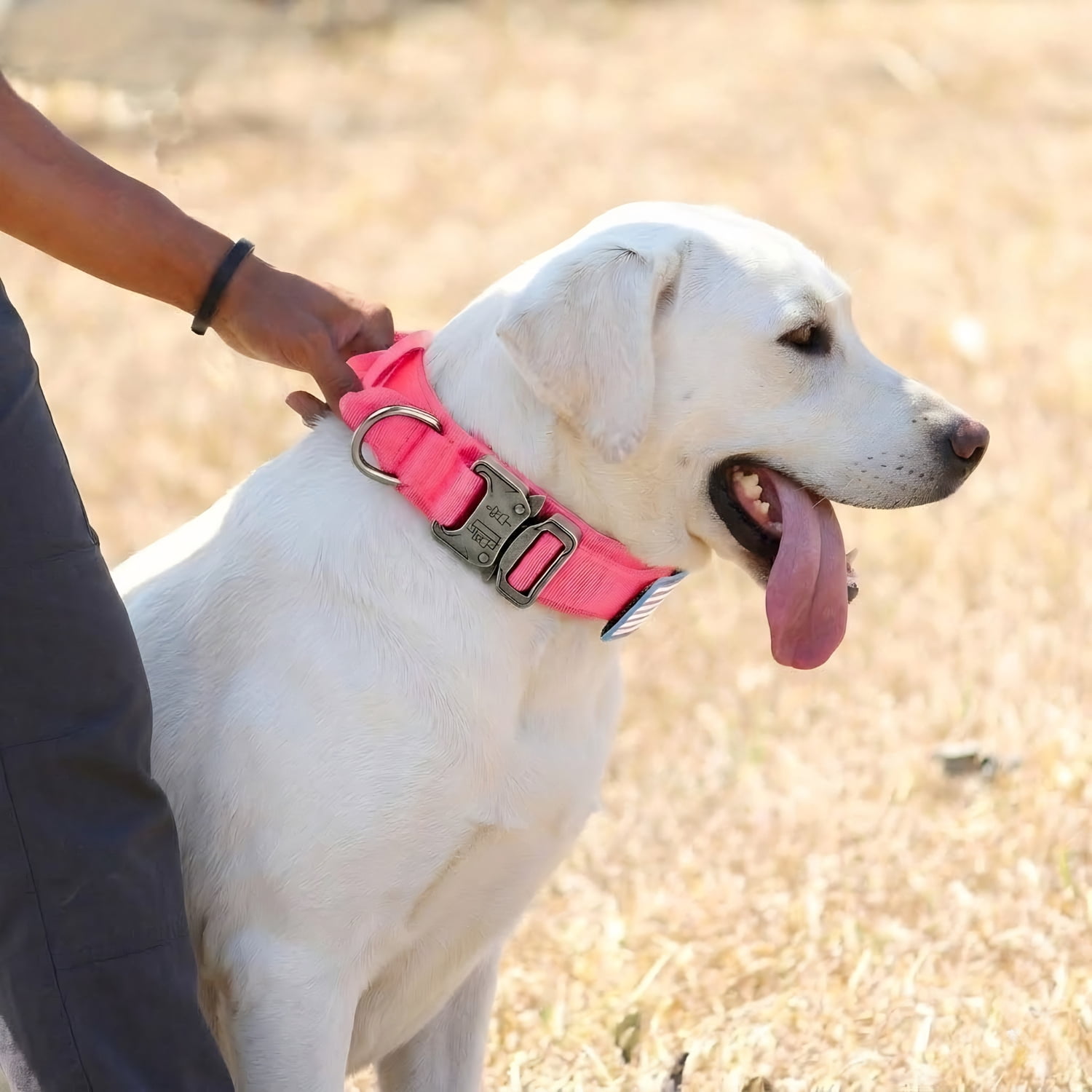 WAAYEEPAL Heavy Duty Nylon Dog Collar Leash Set, Adjustable Training Collar with Control Handle, AirTag Holder & Sturdy Metal Buckle for Medium Large Dogs (XL, Pink)