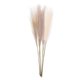 thumbnail image 5 of unbranded 6Ud Ramos Decorativos De Pampas Artificial Beige Para En Restaurantes, 5 of 7