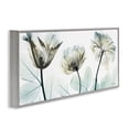 thumbnail image 2 of Stupell Industries Contemporary Jewel of Passion Flowers Gray Framed Giclee Art, 30 x 13, by Albert Koetsier, 2 of 8