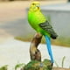 thumbnail image 3 of Figuras de loros de simulación lindas, miniaturas, hermosos pájaros, jardín de cuento de hadas Verde, 3 of 9