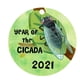 thumbnail image 1 of Temporada de graduación Navidad Familia Colgante Saludo Árbol decorativo Colgante Wmkox8yii gf5733, 1 of 3