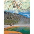 thumbnail image 3 of Yellowstone Mini, 3 of 3
