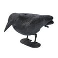 thumbnail image 4 of Crow Decoys Full Body Plastic Crow Decoy for Hunting, Black Flocked Crow Decoy w/Feet Stake for Halloween Decor Yard Garden Decoration, 4 of 9