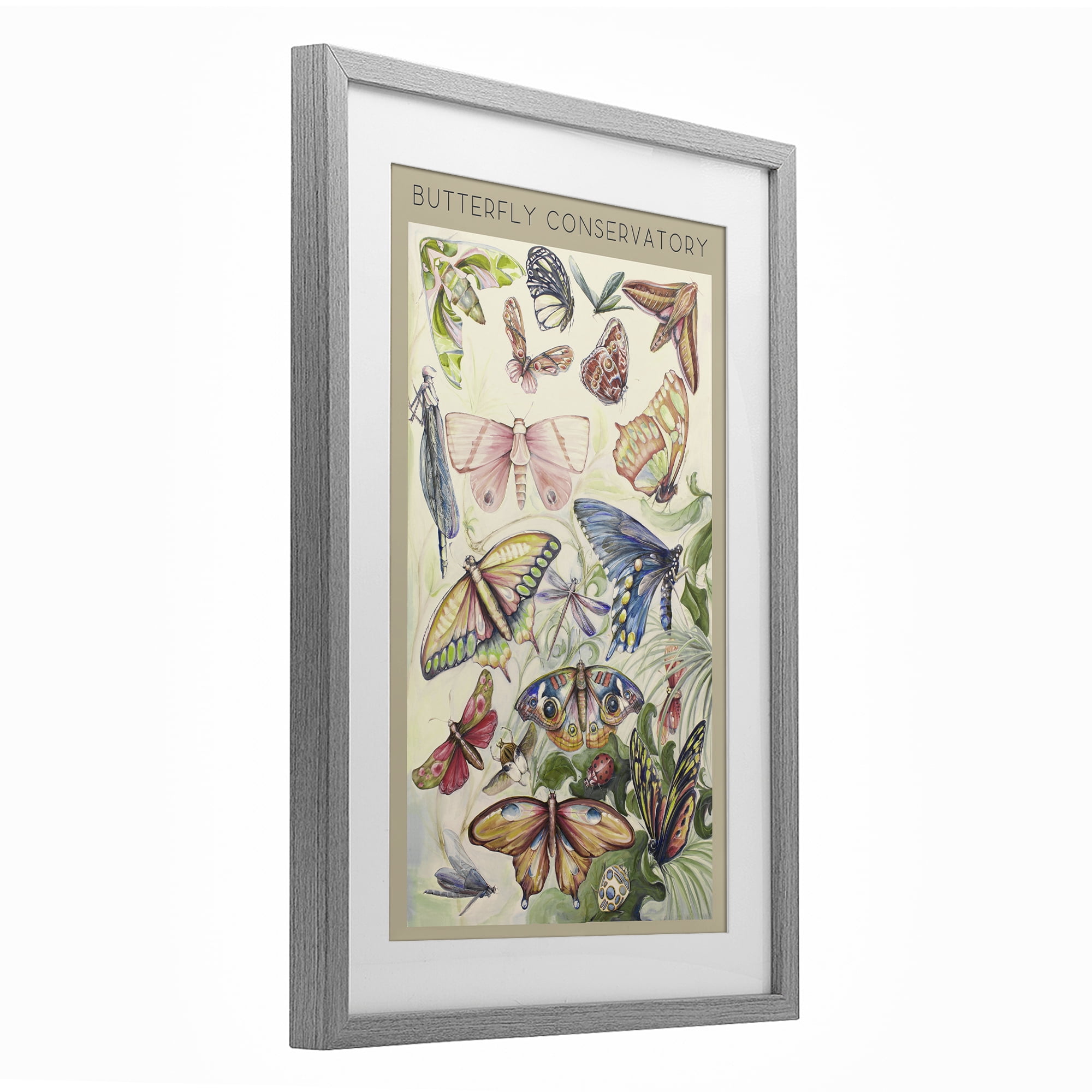 Stupell Industries Butterfly Conservatory Insects Gray Framed Print Under Glass, design by Diannart