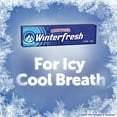 thumbnail image 5 of Winter Fresh Winter Fresh 20 Twin Pack, 40-Count, 5 of 5