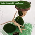 thumbnail image 3 of ZALALOVA 7 Pcs Jumping Spider Hide Supply,Hermit Crab Hideout Climbing Platform, Natural Cotton Rope Bridge Swings with Magnets for Small Reptile Enclosure Decorations, 3 of 8