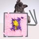 thumbnail image 2 of Alfombra lavable cuadrada rosa para perro, rompecabezas para mascotas, juguete de alimentación, almohadilla de entrenamiento para olfatear, 2 of 8