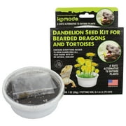 Komodo Grow Your Own Dandelion Reptile Food Kit , White Cup with Brown Soil and Dandelion Seeds