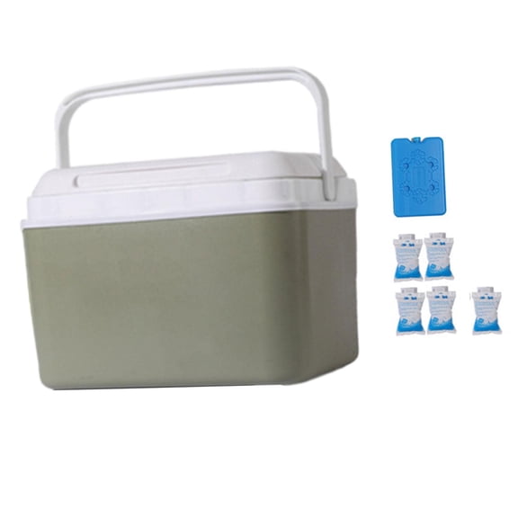 yotijay Insulated Box Car Refrigerator Portable Cold/Heat Preservation for 6L