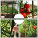 thumbnail image 4 of unbranded 12Ud Piezas Plásticas Para Refuerzo De Jaulas Y Estacas De Plantas Trepadoras En Jardinería, 4 of 6