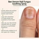 thumbnail image 3 of Bee Venom Nail Repair Serum, Nail Care Solution, Natural Bee Venom Nail Care Spray, Ingrown Toenail Care Spray, 3 of 5