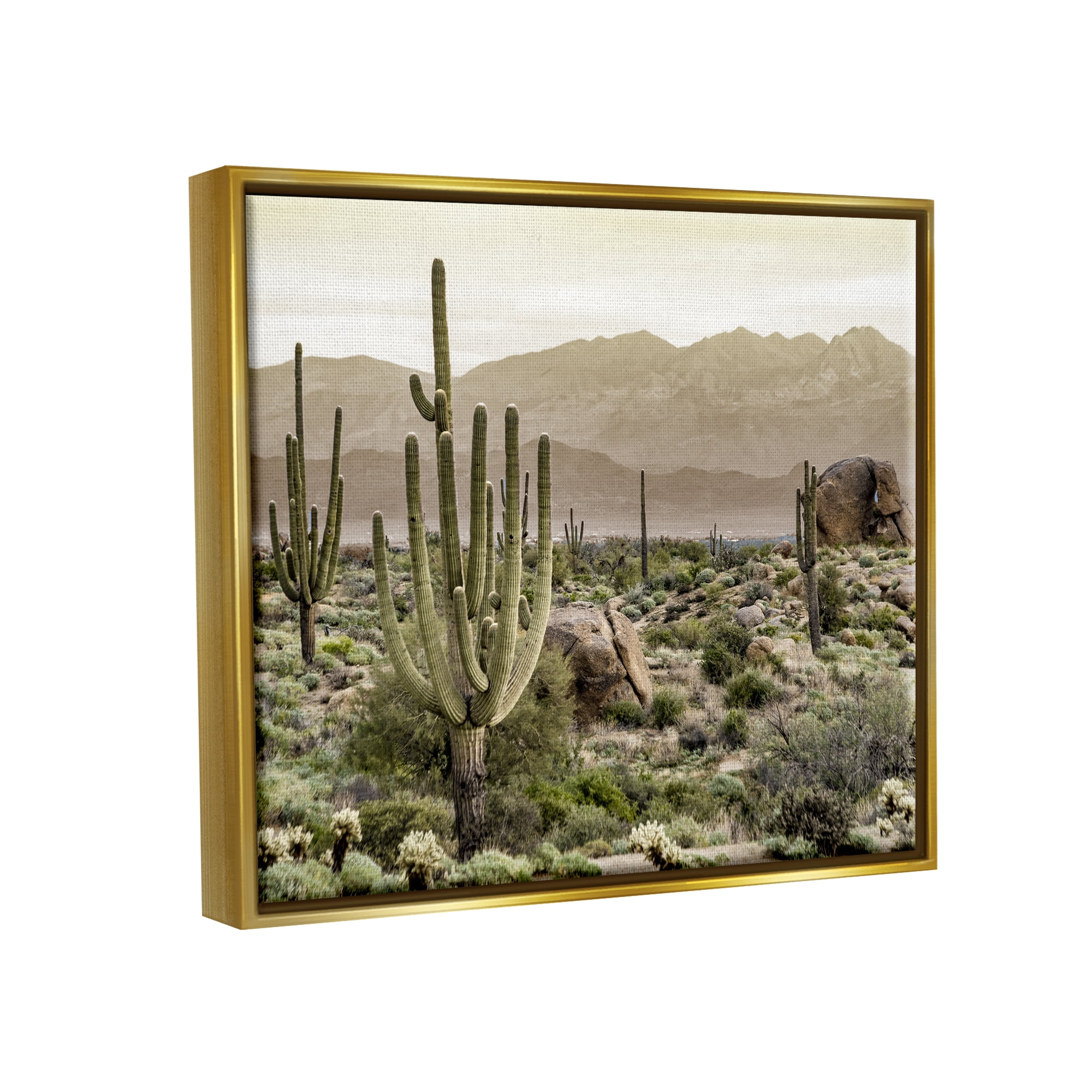 Stupell Industries Rocky Desert Landscape Landscape Photography Gold Floater Framed Canvas Art Print Wall Art, 31 x 25
