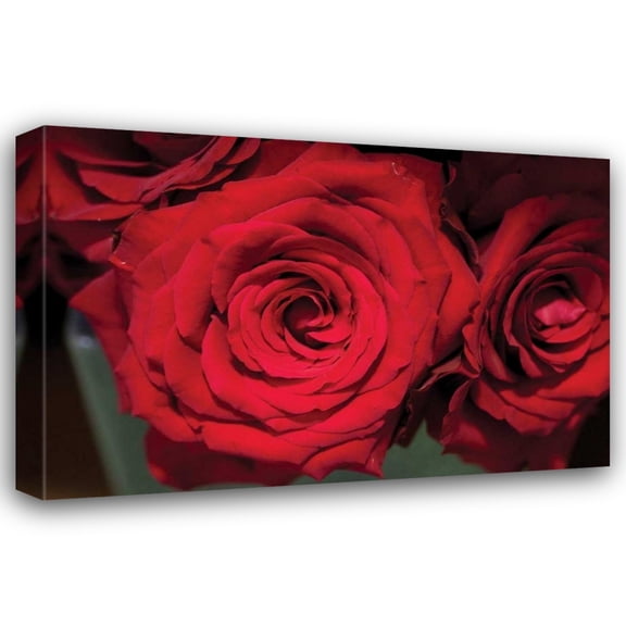 Erin Berzel 24x17 Gallery Wrapped Canvas Wall Art Titled - Red Roses