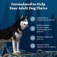 thumbnail image 5 of Blue Buffalo Wilderness High-Protein, Grain-Free Chicken Adult Dry Dog Food 4.5lb Bag, 5 of 12