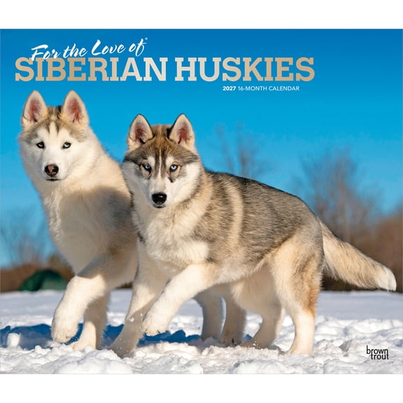 For the Love of Siberian Huskies 2027 14x24" Wall Calendar | Plastic-Free
