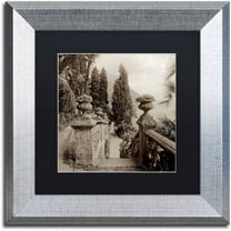 Trademark Fine Art "Lombardy VIII" Canvas Art by Alan Blaustein, Black Matte, Silver Frame