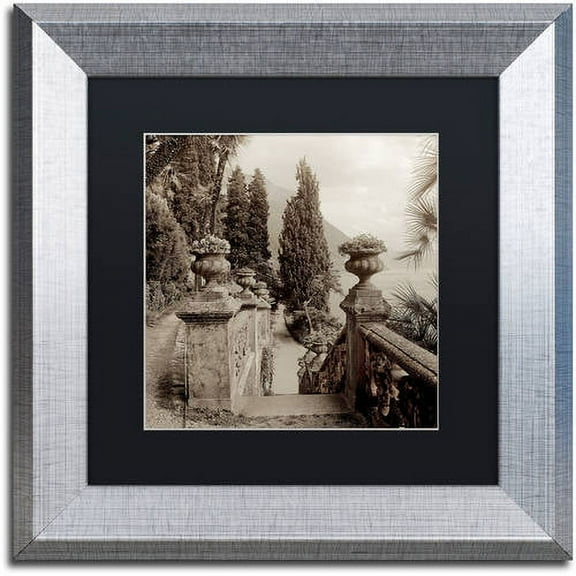 Trademark Fine Art "Lombardy VIII" Canvas Art by Alan Blaustein, Black Matte, Silver Frame
