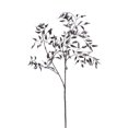 thumbnail image 1 of Vickerman 29" Silver Bamboo Leaf Spray 4/Bag, 1 of 1