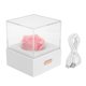 thumbnail image 1 of Rose Night Light Romantic Small USB Charging Soft Brightness Decoration Detachable Transparent Cover Rose Table Lamp for Home Pink, 1 of 4