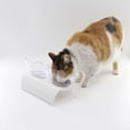 thumbnail image 5 of Cuenco de comida para gatos con postura elevada inclinada, protección para el cuello, antivómitos, soporte inclinado elevado de 15 grados, cuencos para mascotas para gatos y perros pequeños, 5 of 5