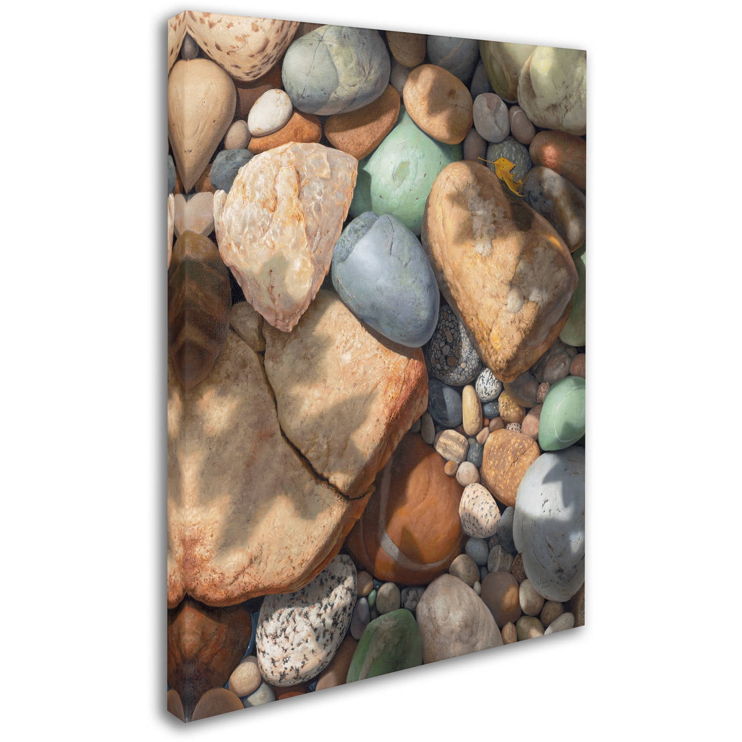 Trademark Fine Art "Above the Shadows Break" Canvas Art by Stephen Stavast